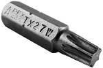 Apex Torx Screwdriver Bits